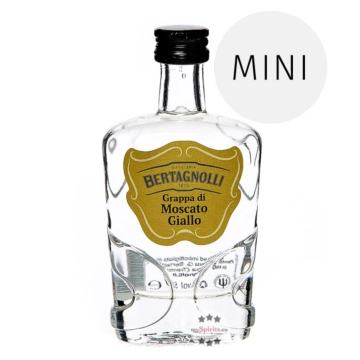 Bertagnolli Grappa di Moscato Giallo Mini / 42 % Vol. / 0,05 Liter-Flasche