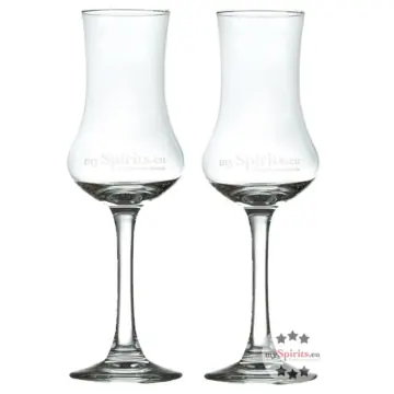 Schnapsglas oder Grappa-Glas: 2 x Degustationsglas für Spirituosen aus edlem Glas