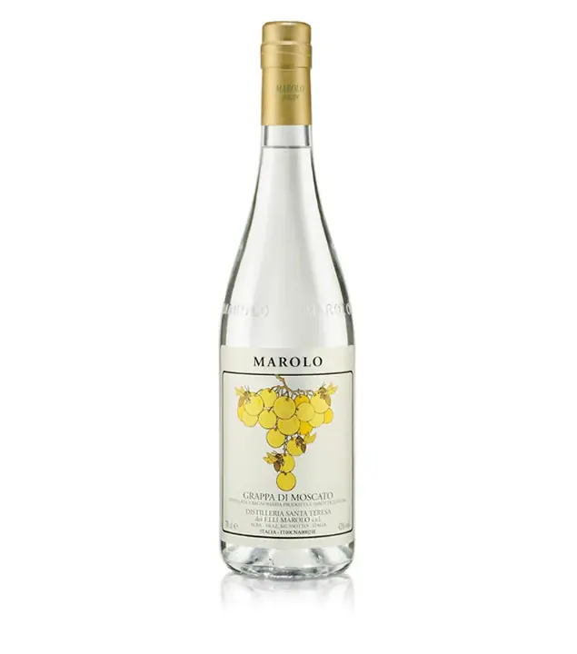 Marolo: Grappa di Moscato / 42 % vol / 0,7 Liter-Flasche