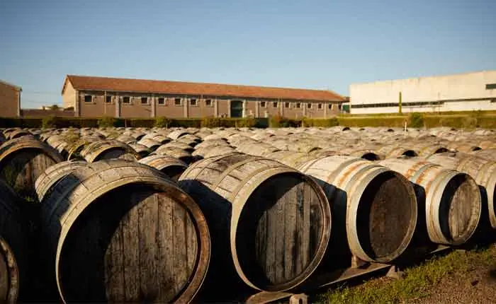 In Eichenholzfässern reift der Vermouth unter freiem Himmel für nochmal mindestens 12 Monate