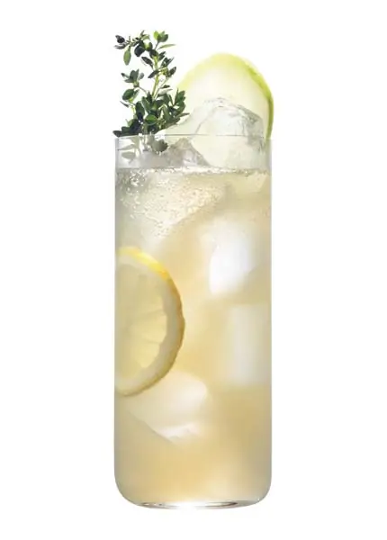 Der Star Collins Der Star Collins