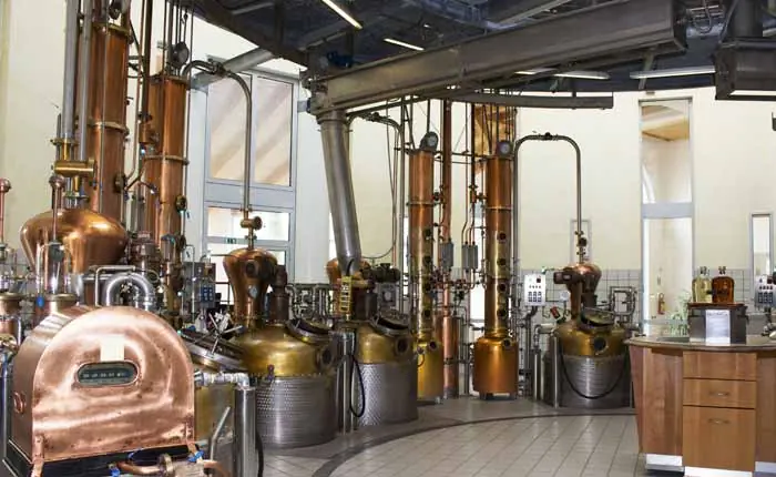 So wird Grappa hergestellt So wird Grappa hergestellt